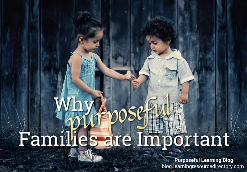 Why Purposeful Families are Important