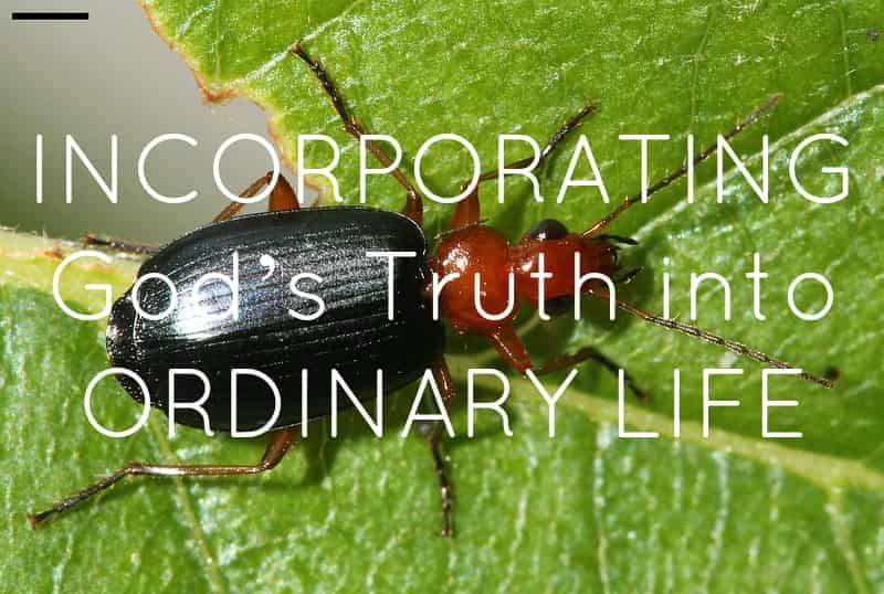 “x IMG_5258” by David Hill via Flickr