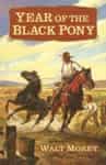 Year of the Black Pony, by Walt Morey