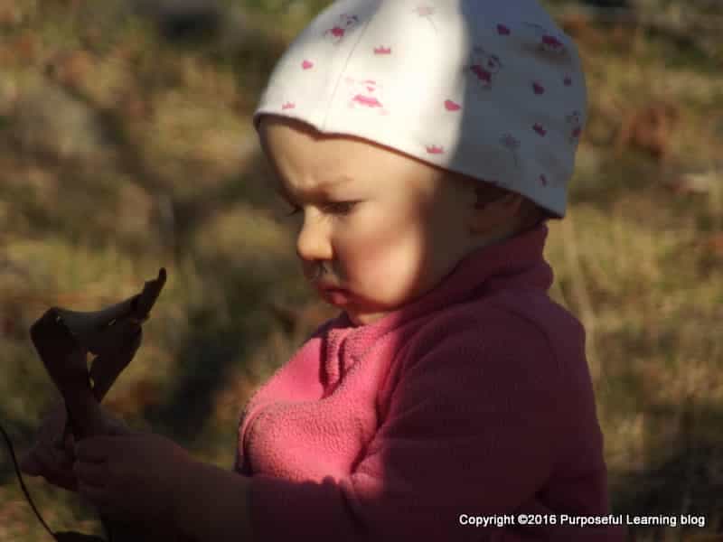 The Cutest Walnut Picker-Upper