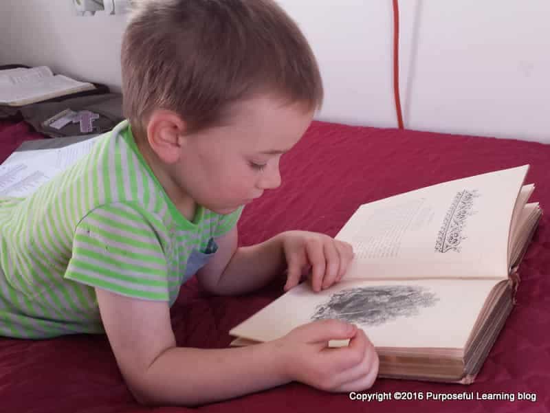 Reading Sacred Allegories