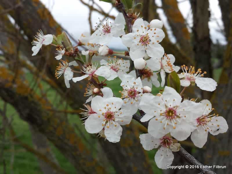 He’ll Be There for You 02