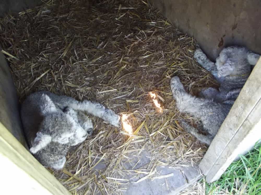 Springtime Memory-Making 06