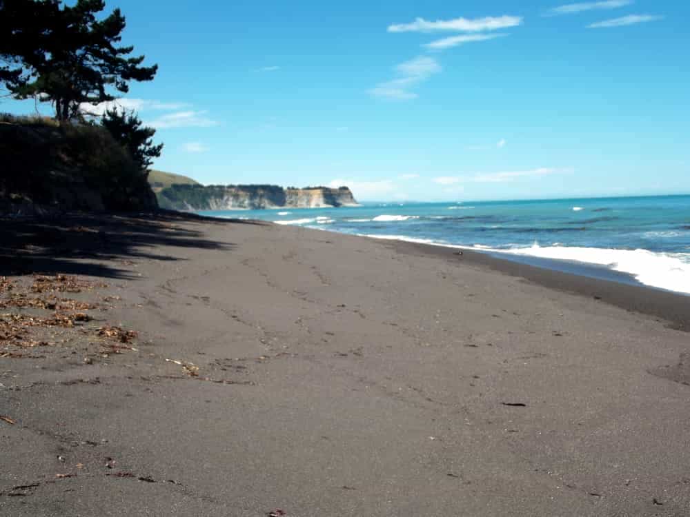 Christmas and Life Update 05