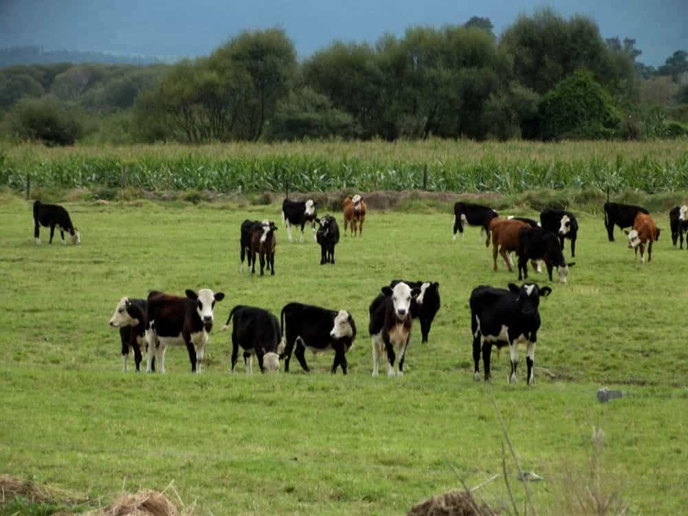 RiverWalk09 RiverWalk09