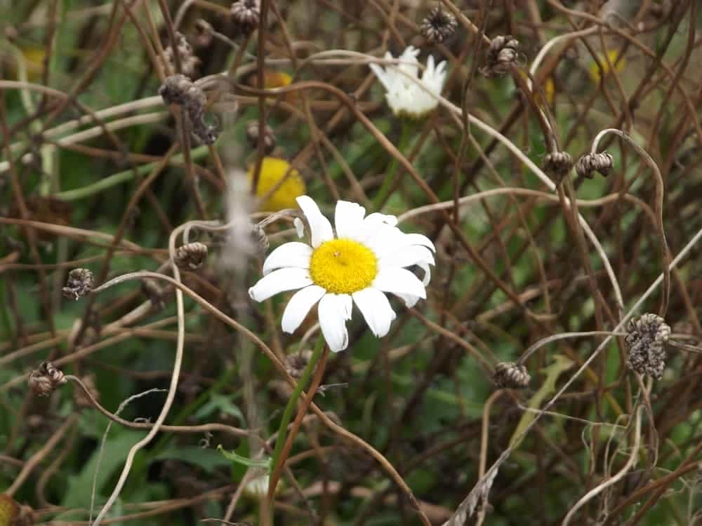 RiverWalk10 RiverWalk10