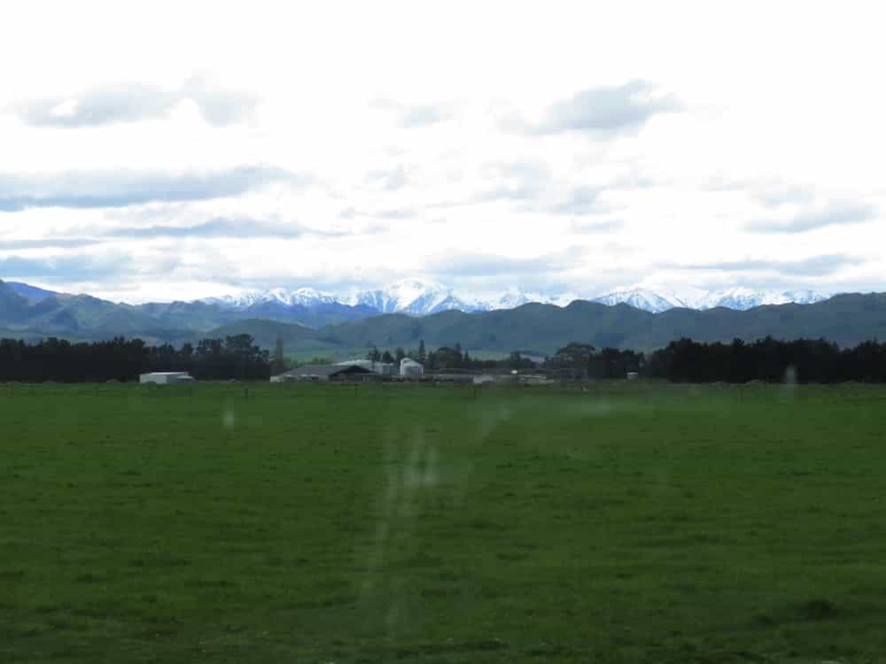 Keep on Serving! image