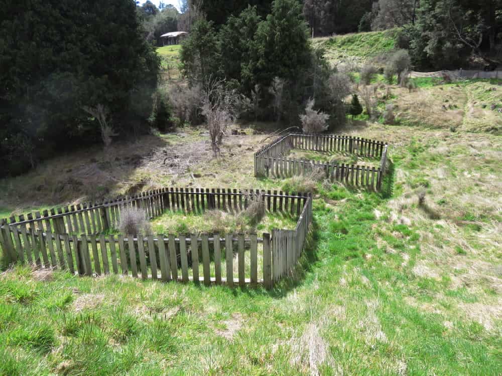 What Will be Left 02