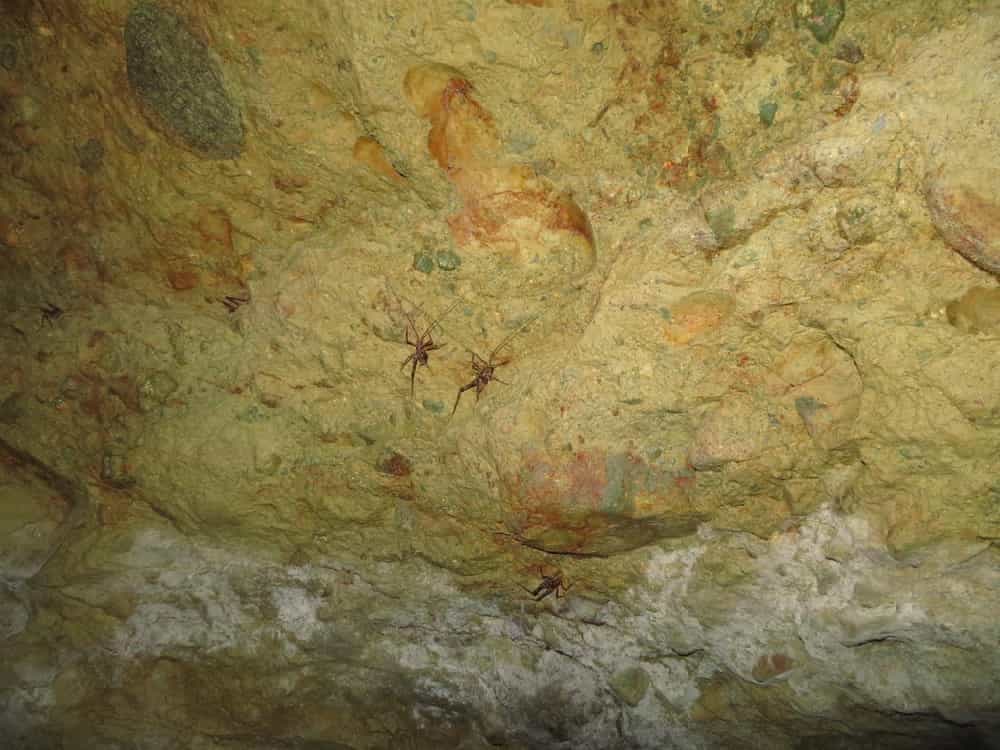 What Will be Left 03