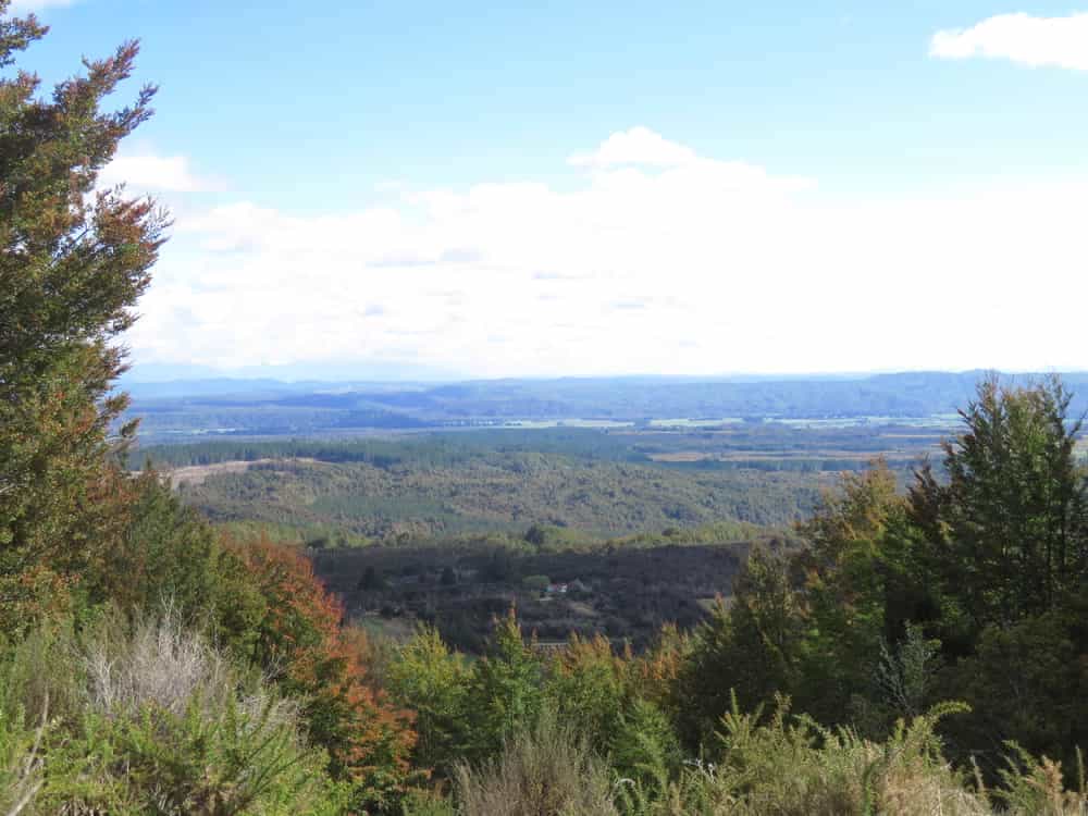 What Will be Left 11