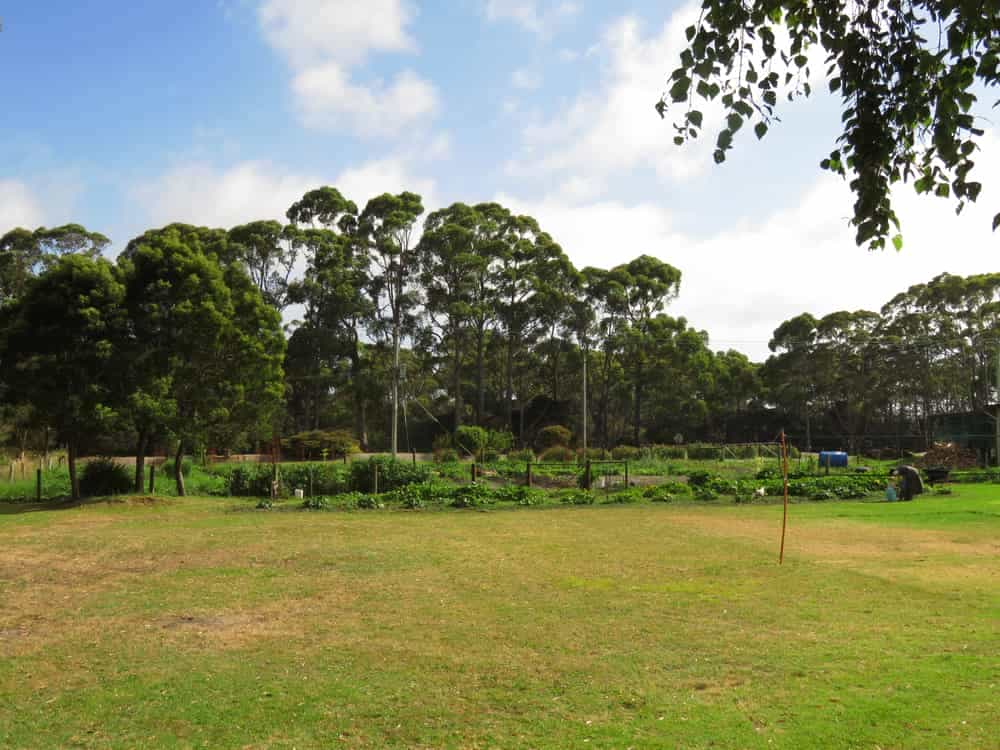 Tasmania 2019, pt. 2: The Community