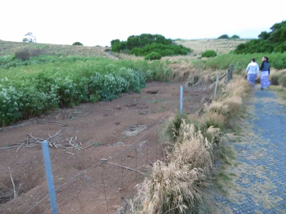 Tasmania 2019, pt. 4 07