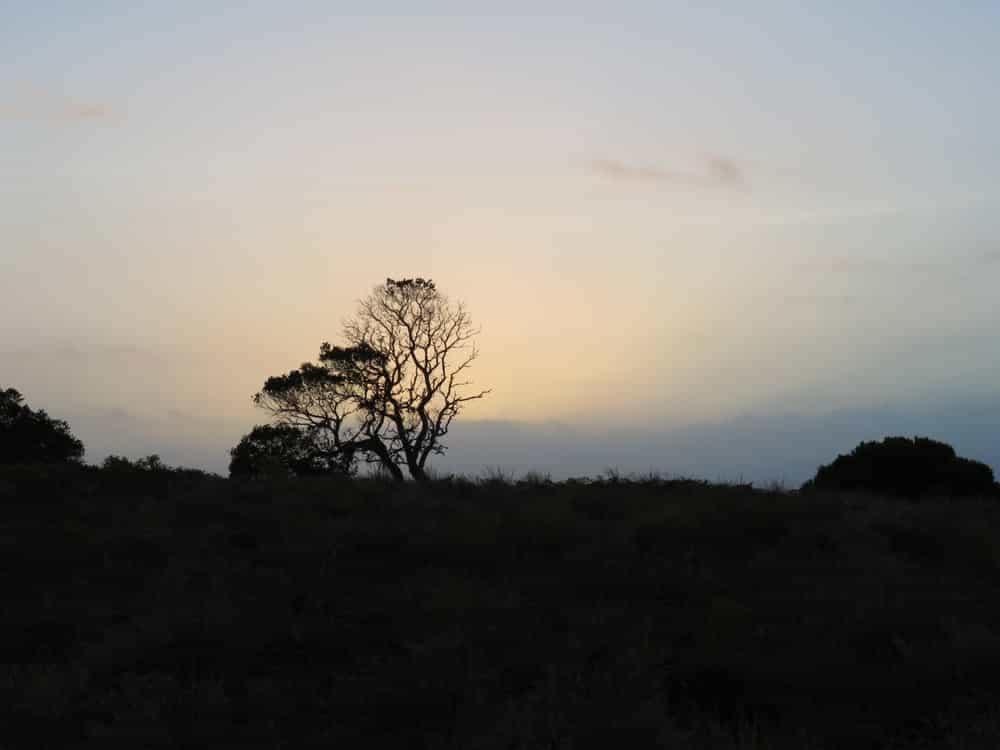 Tasmania 2019, pt. 4 08