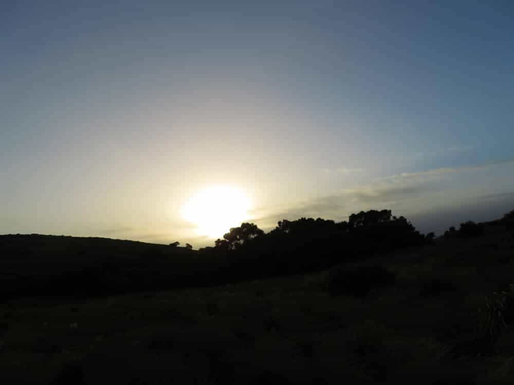 Tasmania 2019, pt. 4 11