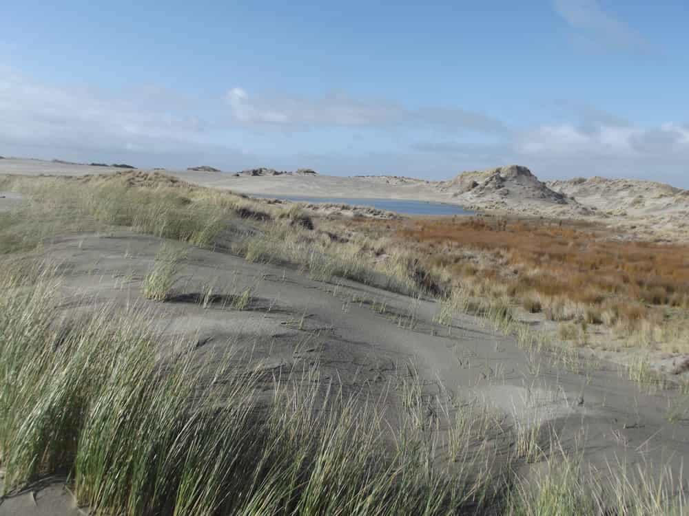 It's All From Jesus A Bible Verse Study 02