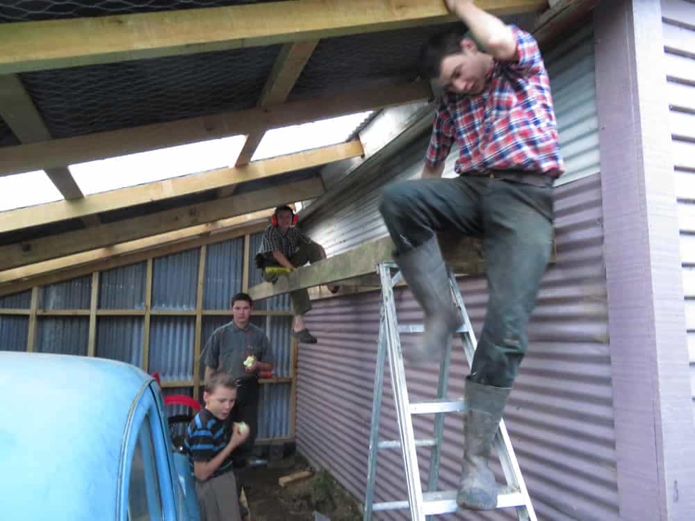 Month in Pictures, Week 2 01