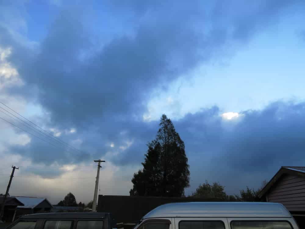 Month in Pictures, Week 3