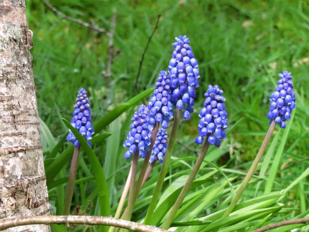 Able to Give So Much More