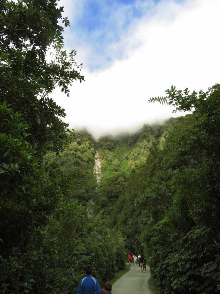 Franz Josef 03 - Sunshine