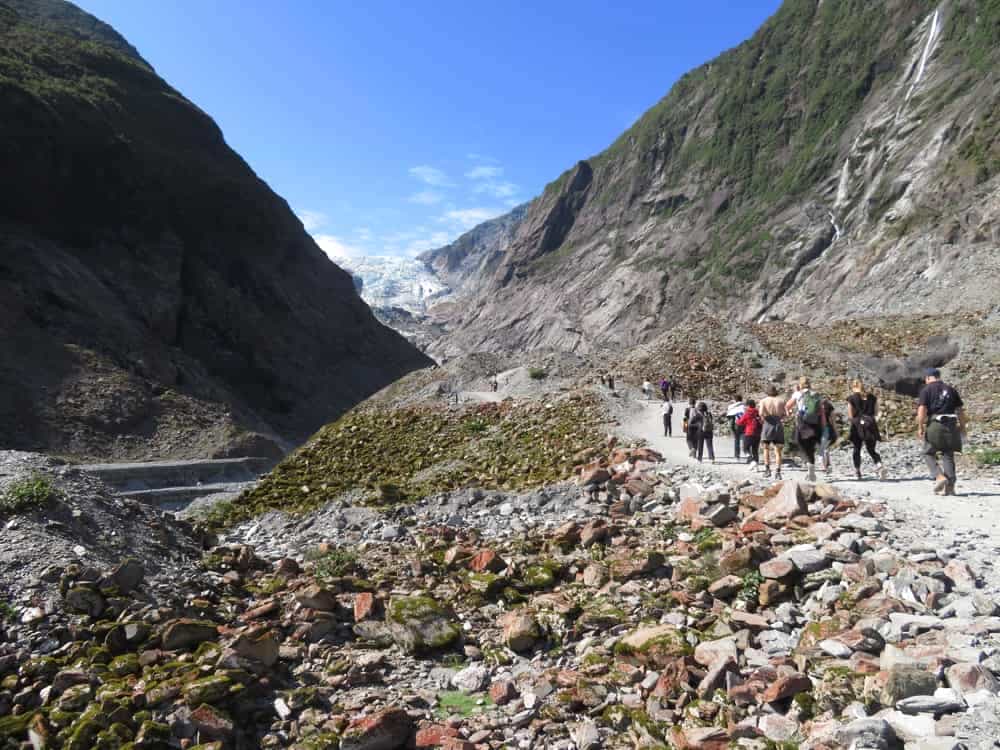 Franz Josef 08 - Lichen