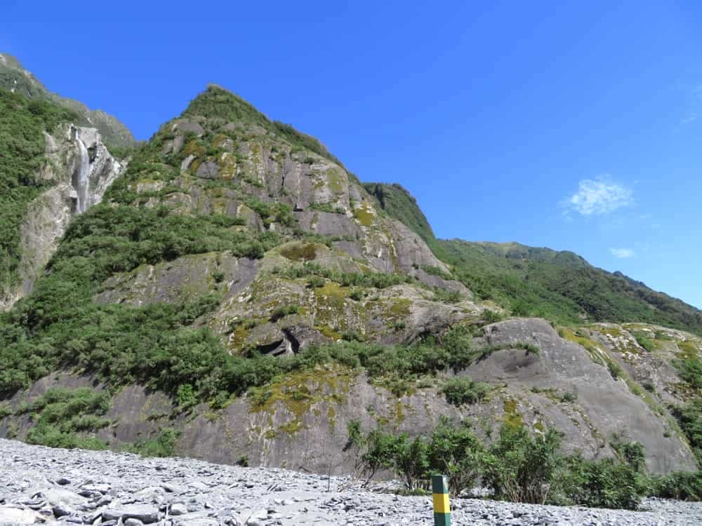 Franz Josef 12 - Vegetation