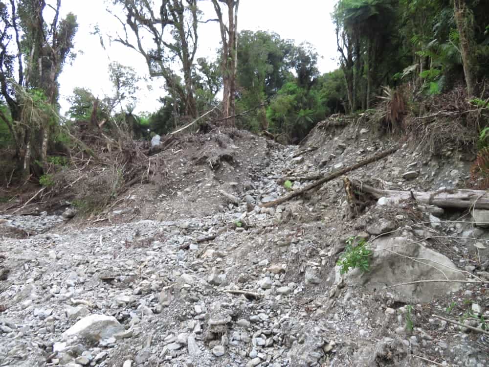 Fox Glacier and Harihari – January 2020 02