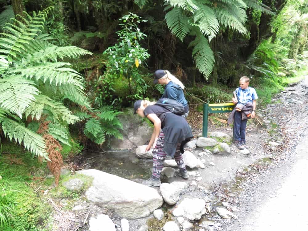 Fox Glacier and Harihari – January 2020 03