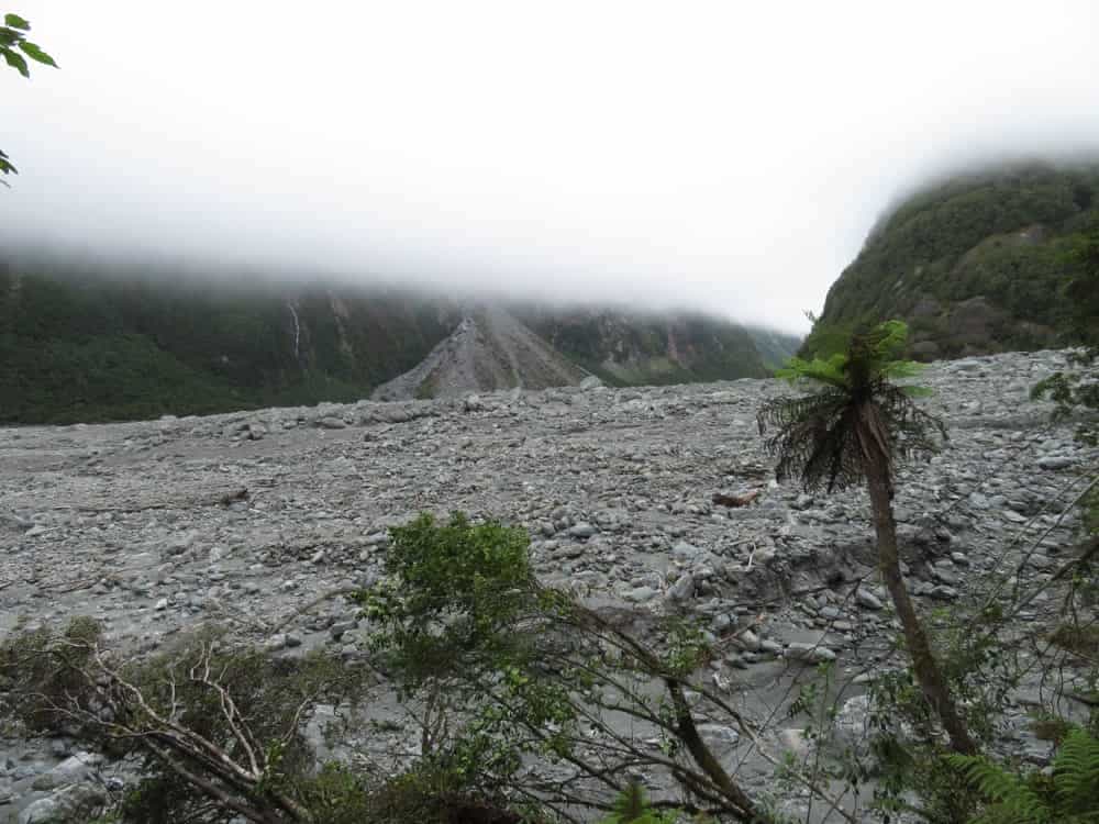 Fox Glacier and Harihari – January 2020 05