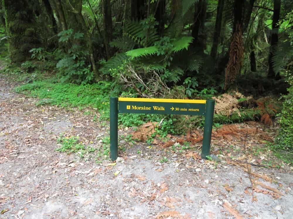 Fox Glacier and Harihari – January 2020 09