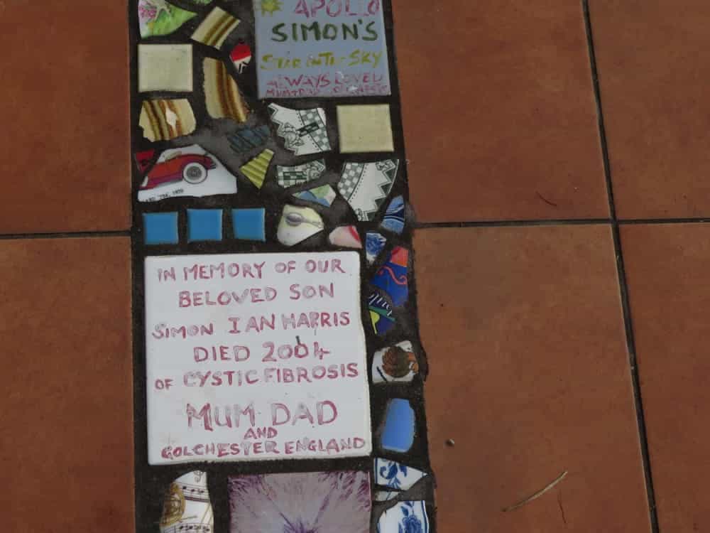 Fox Glacier and Harihari – January 2020 19