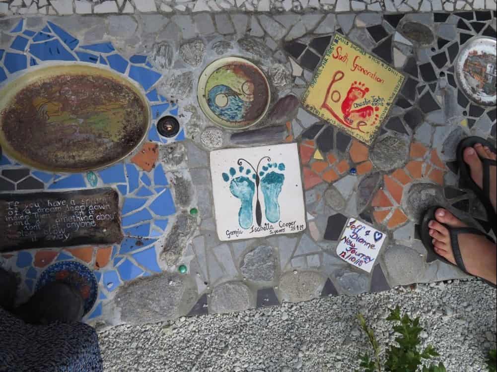 Fox Glacier and Harihari – January 2020 24