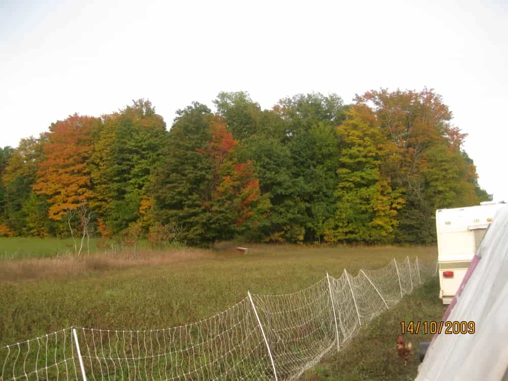 Michigan Memories: Preparing for Moving 02