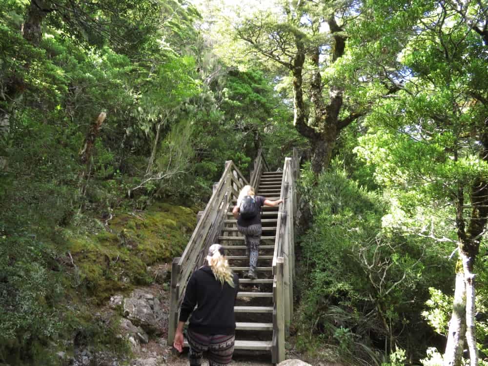 Arthur's Pass – January 2020 06