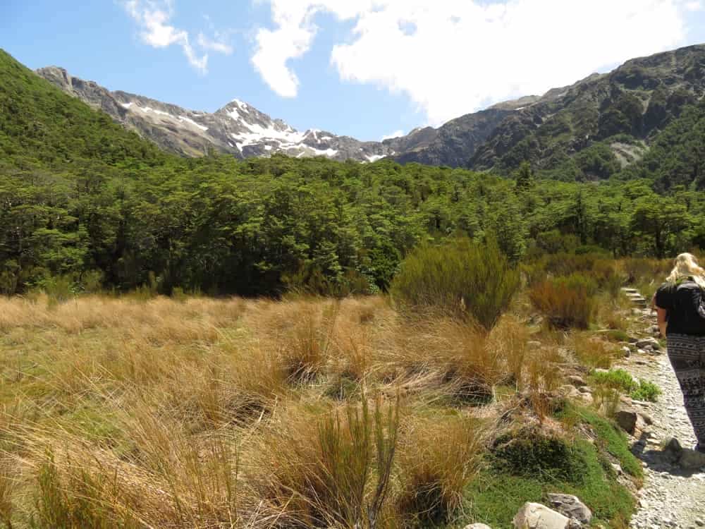 Arthur's Pass – January 2020 10