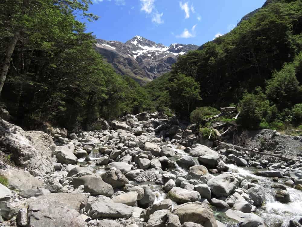 Arthur's Pass – January 2020 11