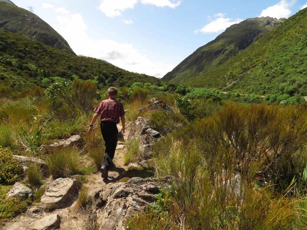Arthur's Pass – January 2020 13