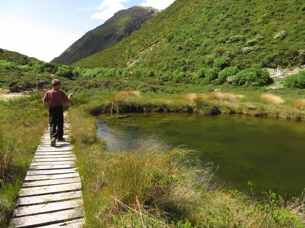 Arthur's Pass – January 2020 14