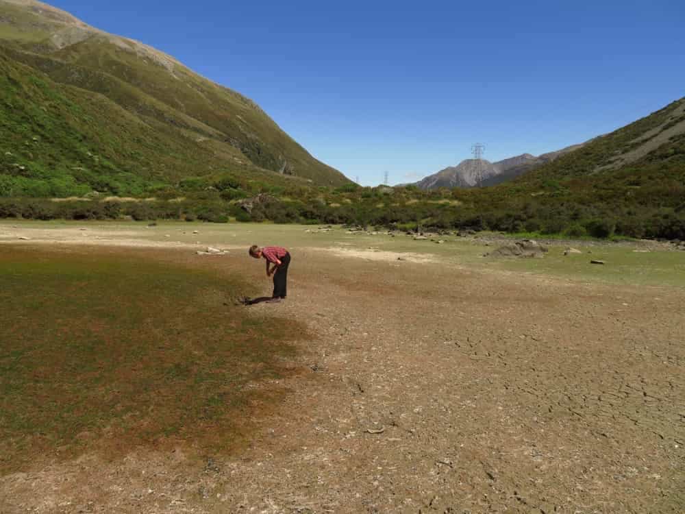 Arthur's Pass – January 2020 15