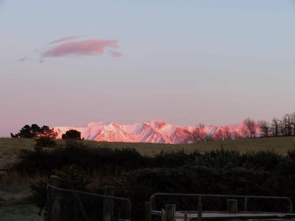 These Past Four Weeks 02