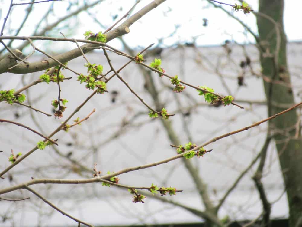 Faithful in All Seasons