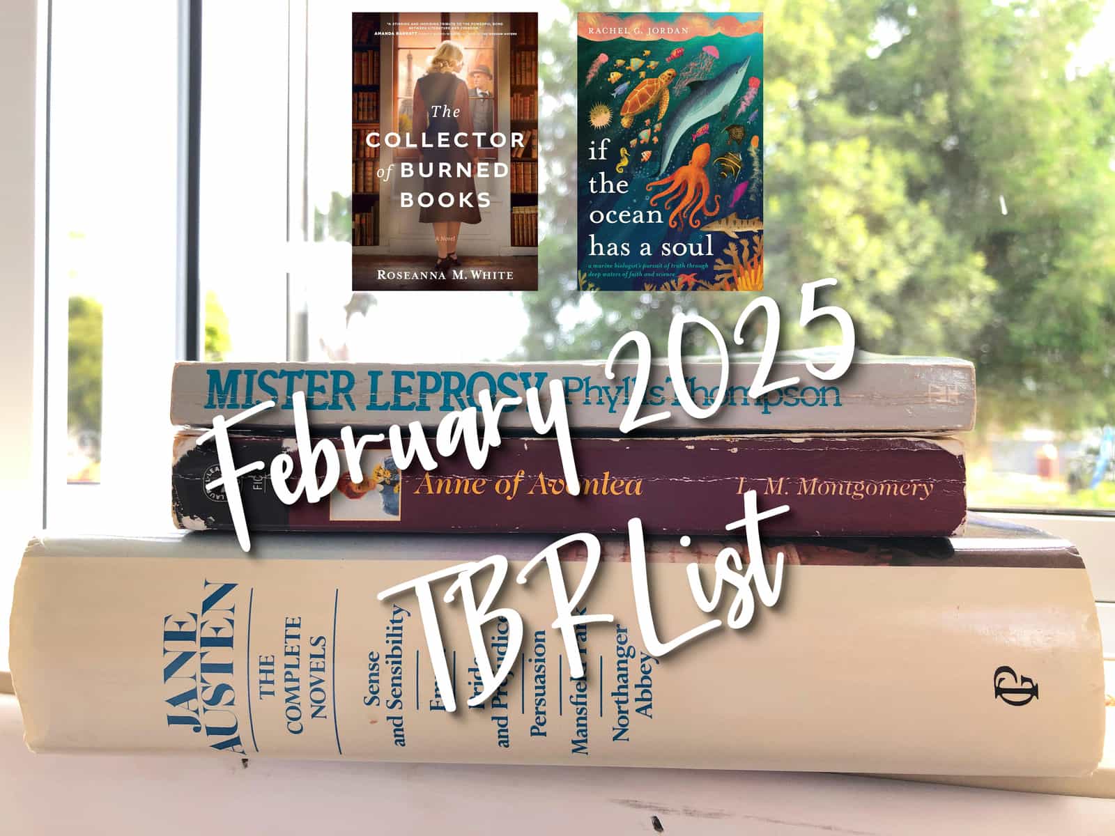 February 2025 TBR List
